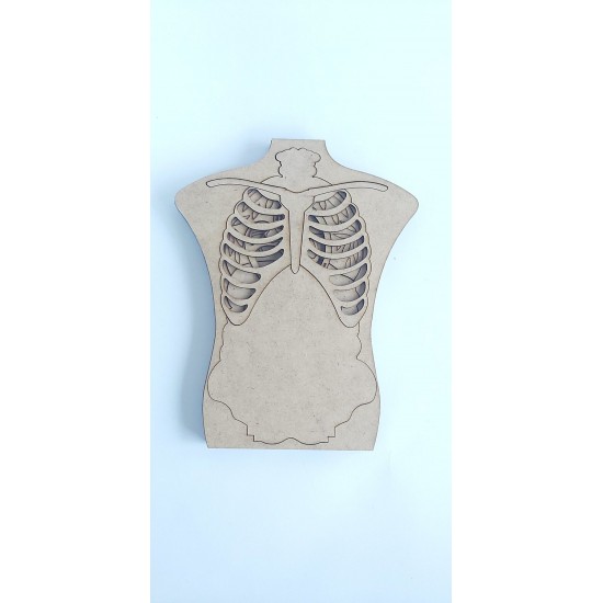 Vücudumuzu Tanıyalım Vücudumuzu Tanıyalım