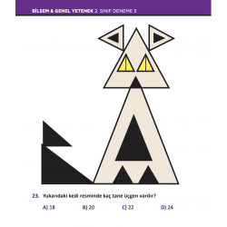 2. Sınıf | BİLSEM Hazırlık Denemeleri